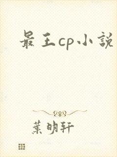 最王cp小说