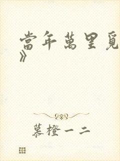 当年万里觅封侯》封面