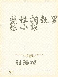 双性调教男奴变态小说