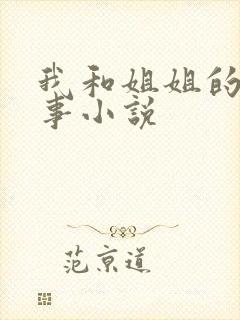 我和姐姐的那些事小说封面
