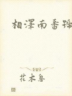 相泽南番号在线