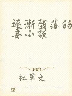 逐渐堕落的美人妻小说