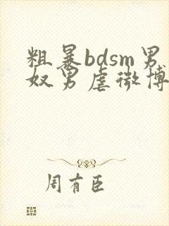 粗暴bdsm男奴男虐微博