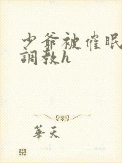 少爷被催眠玩弄调教h封面