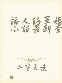 诱人的军婚雪萍小说最新章节封面