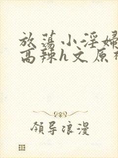 放荡小淫妇h文高辣h文原神