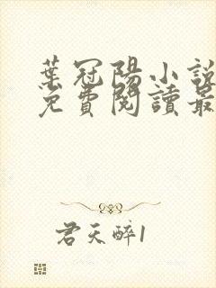 叶冠阳小说全文免费阅读最新章节