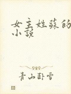 女主姓苏的古代小说