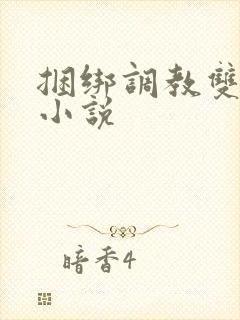 捆绑调教双性的小说