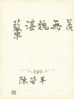 蓝湛魏无羡车车车