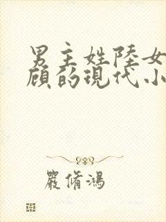 男主姓陆女主姓顾的现代小说