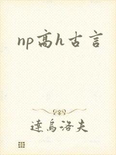 np高h古言
