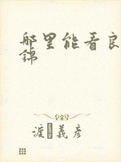 哪里能看良陈美锦