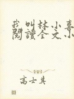 我叫林小喜免费阅读全文小说