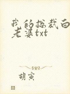 我的总裁白富美老婆txt封面