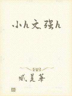 小h文强h