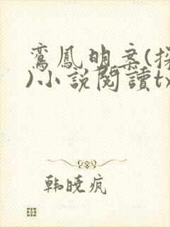 鸾凤明案(探案)小说阅读txt