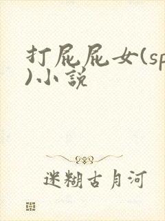 打屁屁女(sp)小说封面