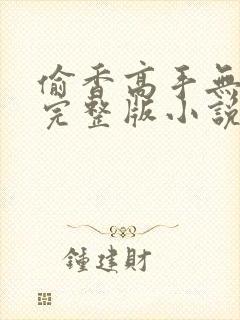 偷香高手无删减完整版小说封面