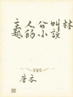 主人公叫林风穿越的小说