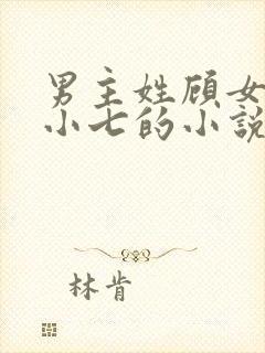 男主姓顾女主叫小七的小说封面