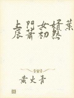 上门女婿叶辰叶辰萧初然