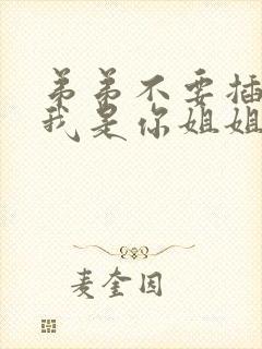 弟弟不要插进来我是你姐姐