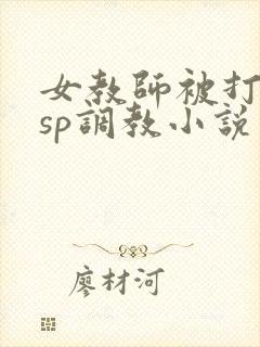 女教师被打屁股sp调教小说封面