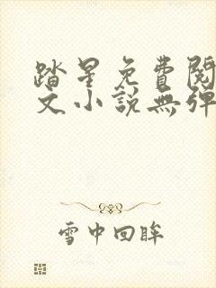 踏星免费阅读全文小说无弹窗