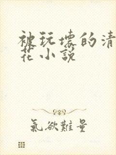 被玩坏的清纯校花小说封面