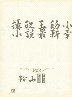 摄政王的小闲妻小说最新章节