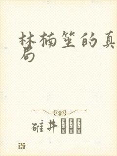 林楠笙的真实结局封面