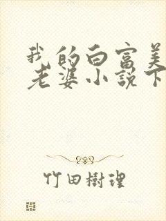 我的白富美总裁老婆小说下载