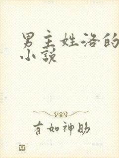 男主姓洛的总裁小说封面