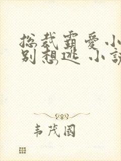 总裁霸爱小娇妻别想逃 小说免费阅读封面