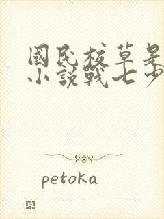 国民校草是女生小说战七少