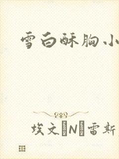 雪白酥胸小说