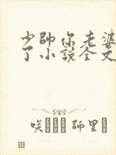 少帅你老婆又跑了小说全文阅读