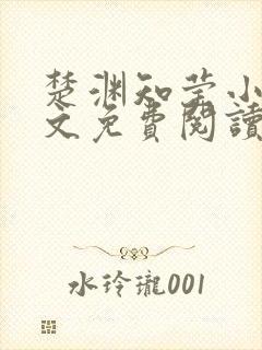 楚渊知莹小说全文免费阅读封面