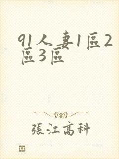 91人妻1区2区3区