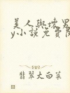 美人与坏男人by小说免费阅读