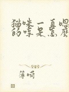 猫咪一直嗯嗯嗯的哼是怎么了