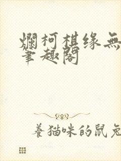 烂柯棋缘无弹窗笔趣阁