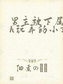 男主被下属调教h玩弄的小说