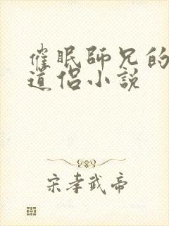 催眠师兄的高冷道侣小说封面