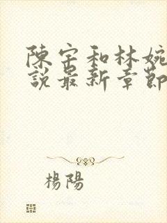 陈宇和林婉的小说最新章节