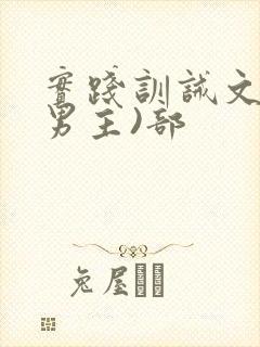 实践训诫文(双男主)部封面