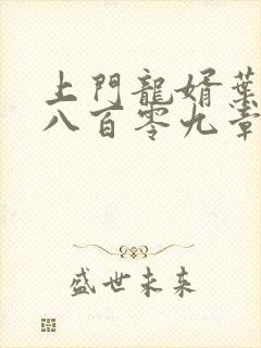 上门龙婿叶辰第八百零九章