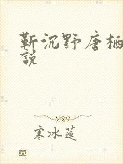 靳沉野唐栖雾小说
