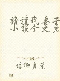 请让我妻子堕落小说全文免费阅读